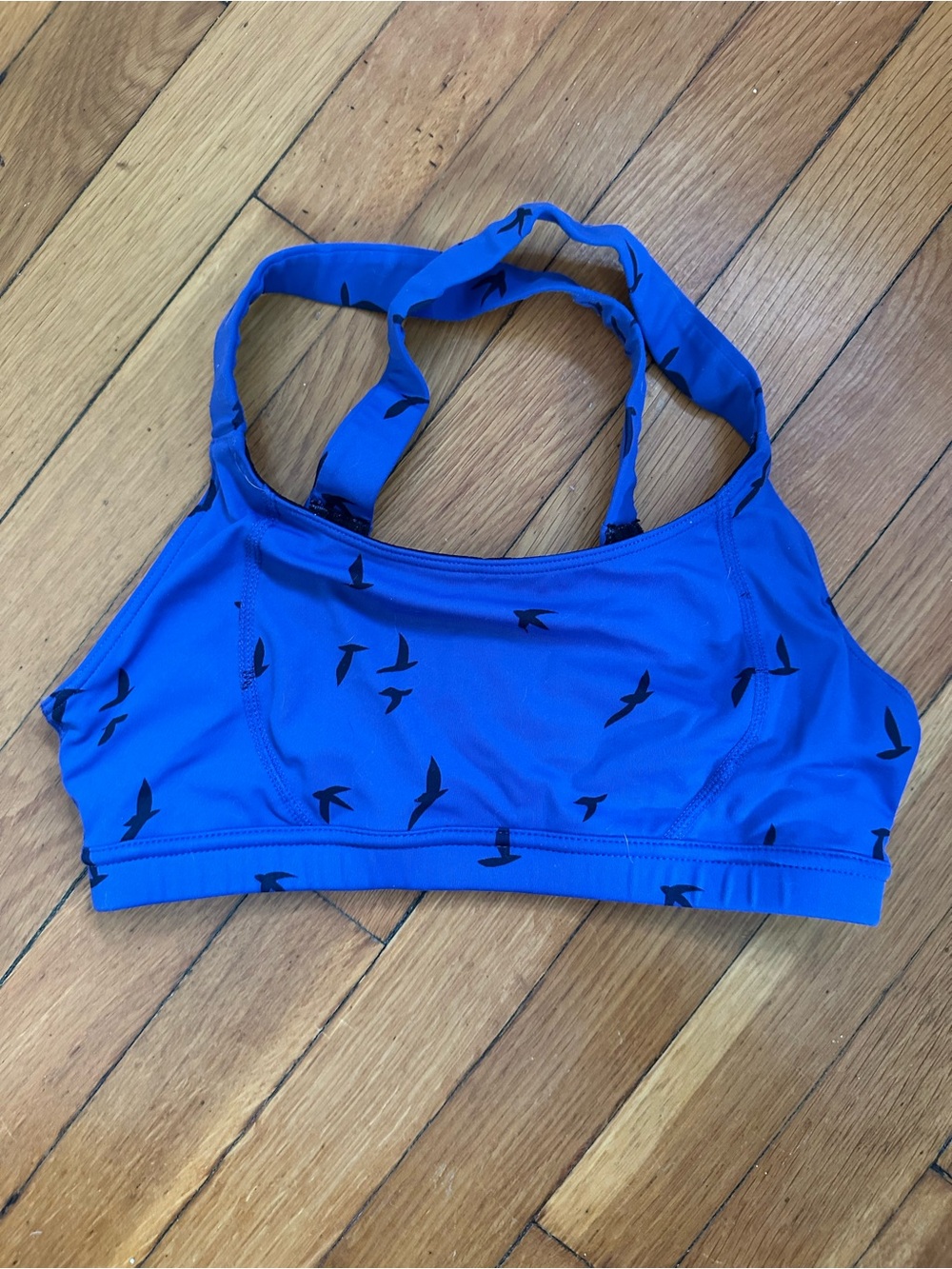 oiselle Blue Swim Bikini Top with Black Bird Print